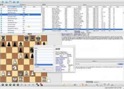 Official Download Mirror for ChessX