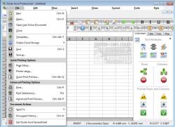 Official Download Mirror for SSuite Axcel Professional Spreadsheet