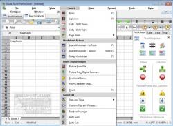 Official Download Mirror for SSuite Axcel Professional Spreadsheet