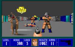 Official Download Mirror for Wolfenstein 3D with Manual and Wolf3D Super Upgrades