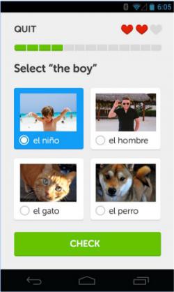 Official Download Mirror for Duolingo: Language Lessons for Android
