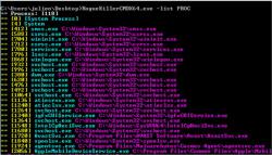 Official Download Mirror for RogueKillerCMD 32-Bit