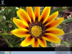 Official Download Mirror for SSuite Office - HD Floral Wallpapers