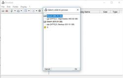 Official Download Mirror for DriveSort