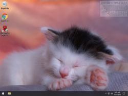 Official Download Mirror for Sleepy Kittens Theme