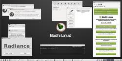 Official Download Mirror for Bodhi Linux