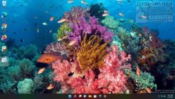 Official Download Mirror for Tropical Fish Theme