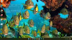 Official Download Mirror for Tropical Fish Theme