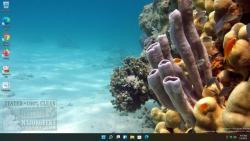 Official Download Mirror for Fish and Corals Theme