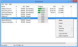 Official Download Mirror for PicoTorrent