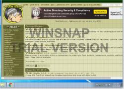 Official Download Mirror for WinSnap