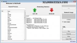 Official Download Mirror for NetAudit